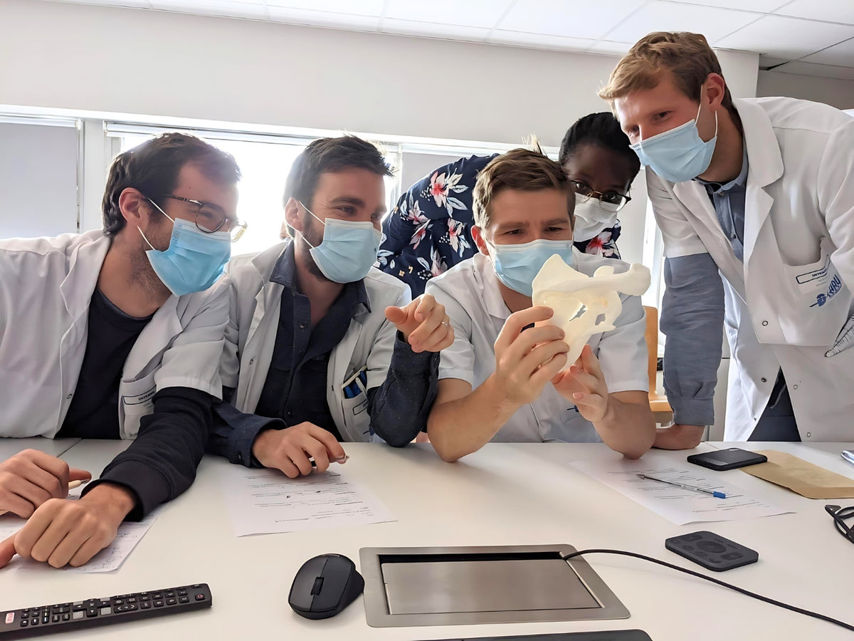 A closer look at Potential Benefits Of Anatomy Materials